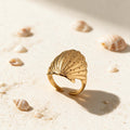 Bague Coquille Saint-Jacques - Pétoncle