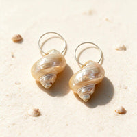 Boucle d'Oreille Coquillage Acier Inoxydable