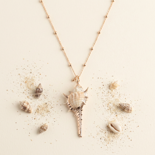 Collier Polynesien Coquillage