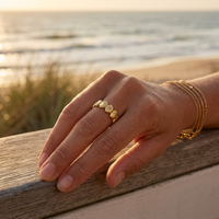 Bague Saint-Jacques Coquille Coquillage