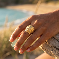 Bague Saint-Jacques Coquille