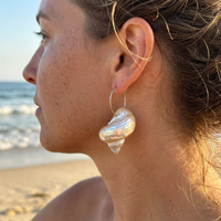 Boucle d'Oreille Coquillage Acier Inoxydable